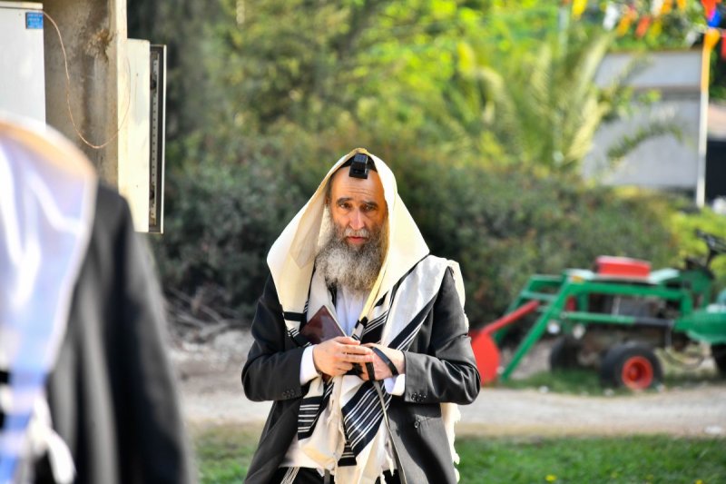שוקי לרר