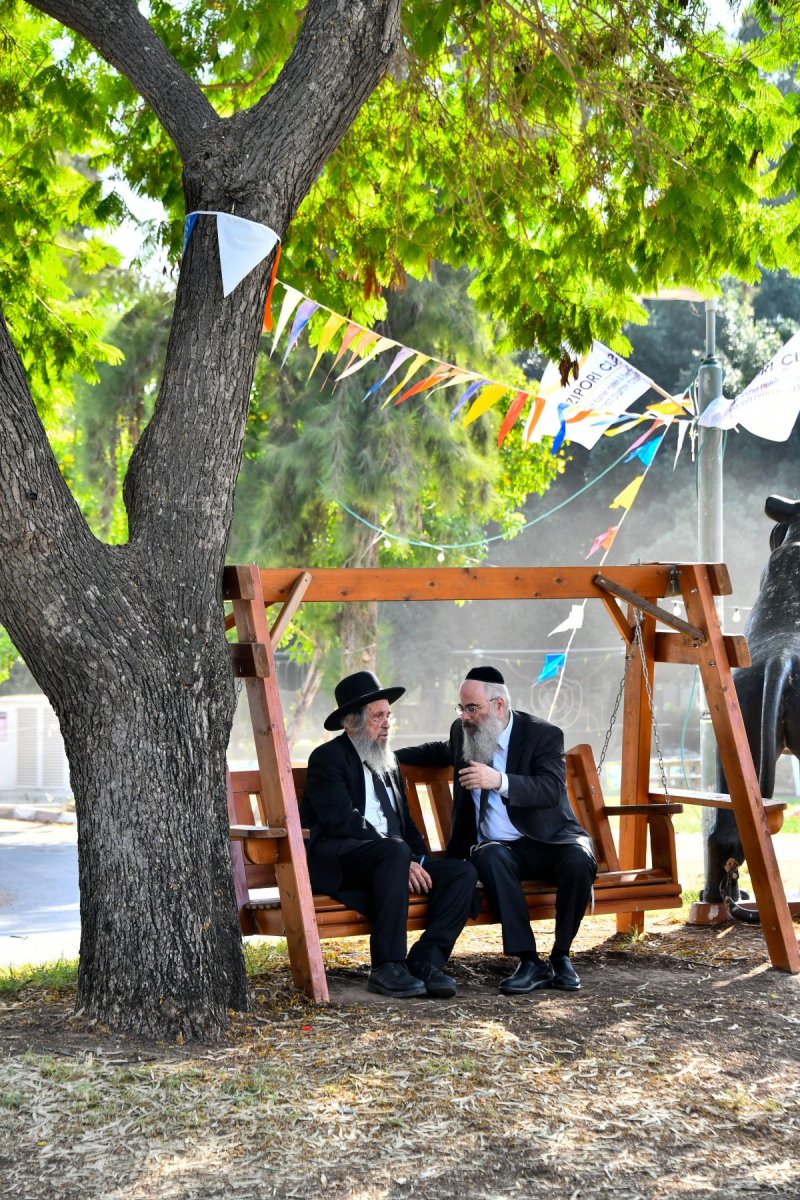 שוקי לרר