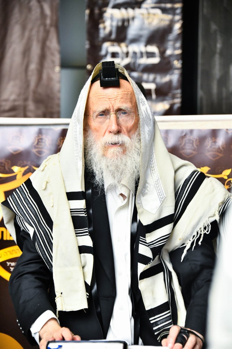 שוקי לרר