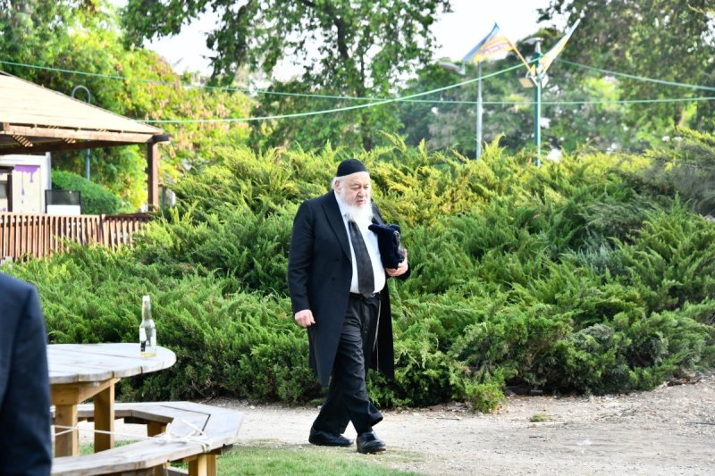 שוקי לרר