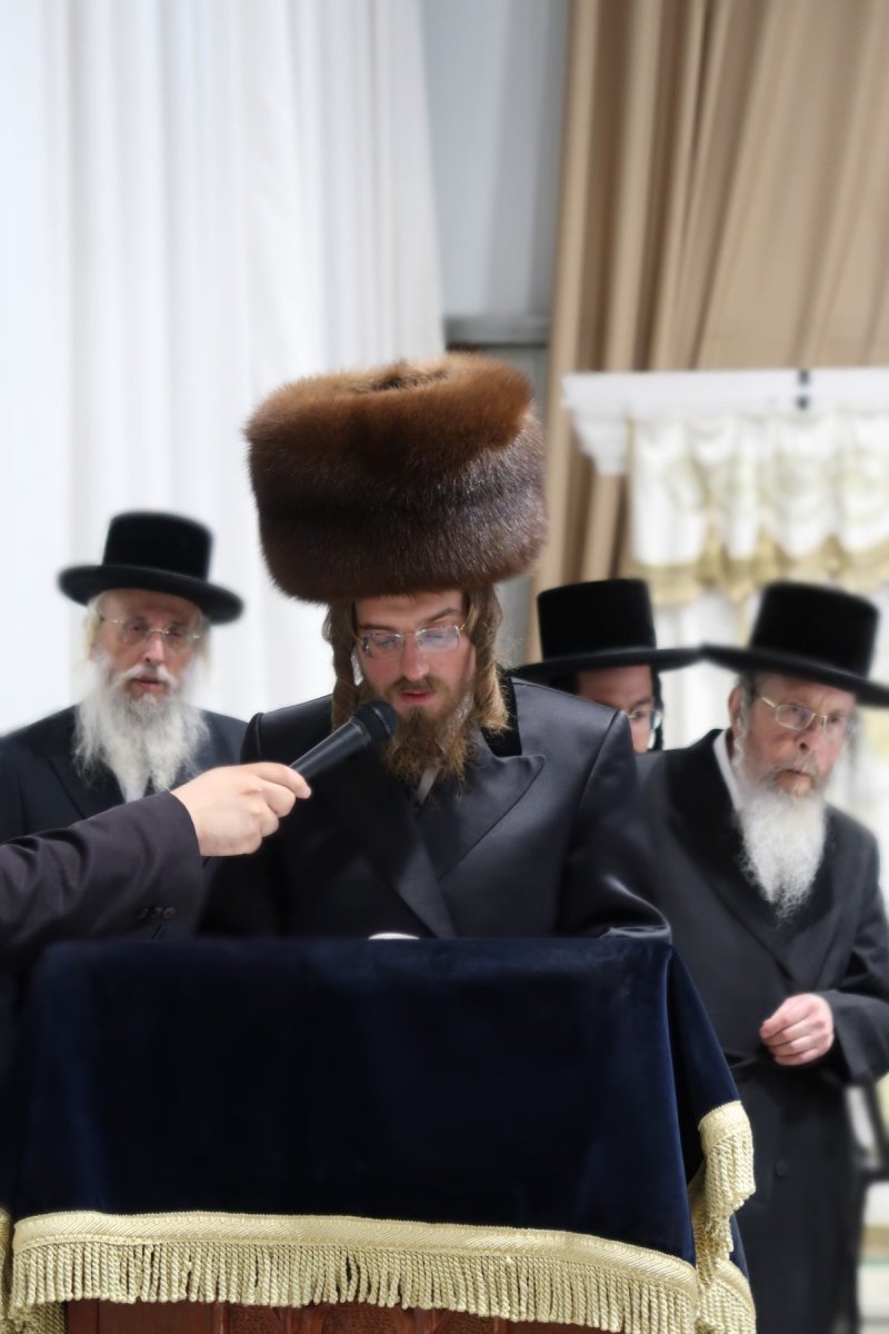 שוקי לרר
