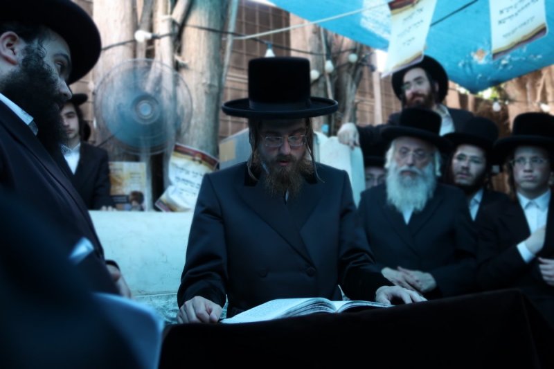 שוקי לרר