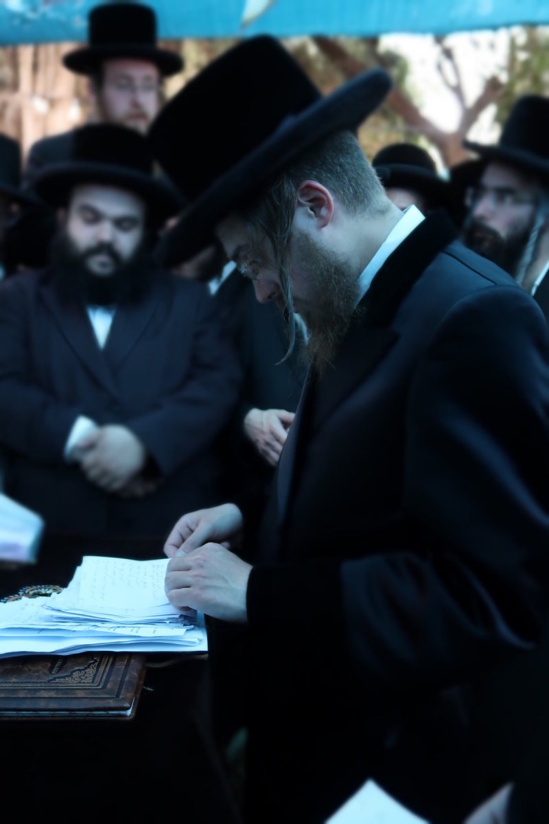 שוקי לרר