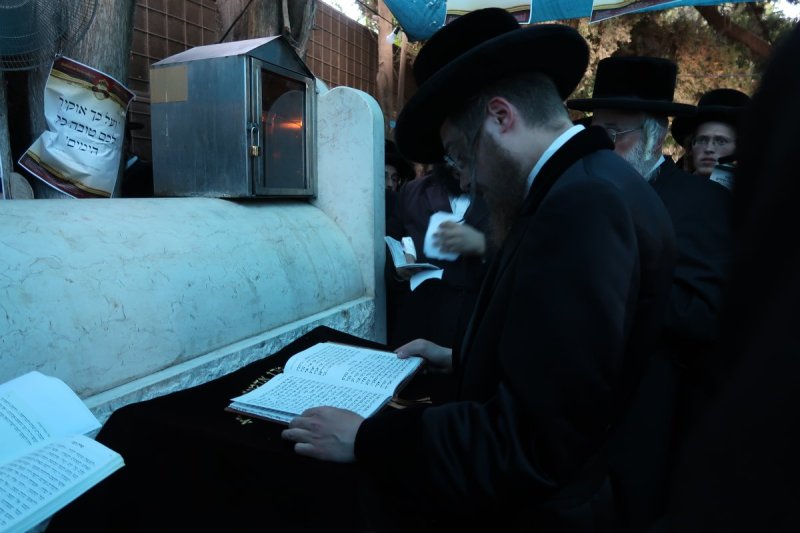 שוקי לרר