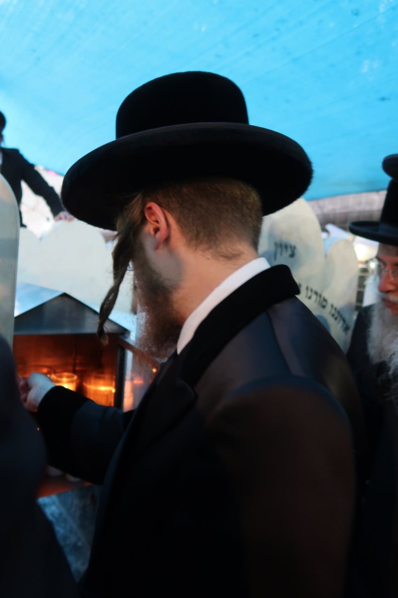 שוקי לרר