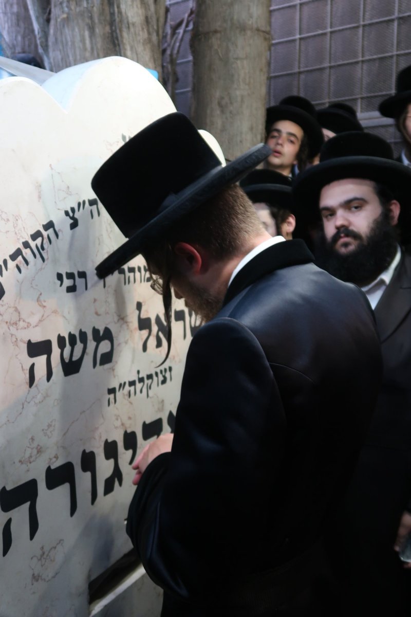 שוקי לרר
