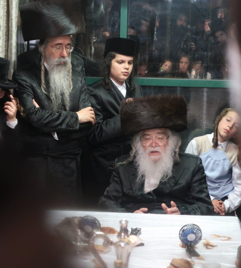 שימי פ.