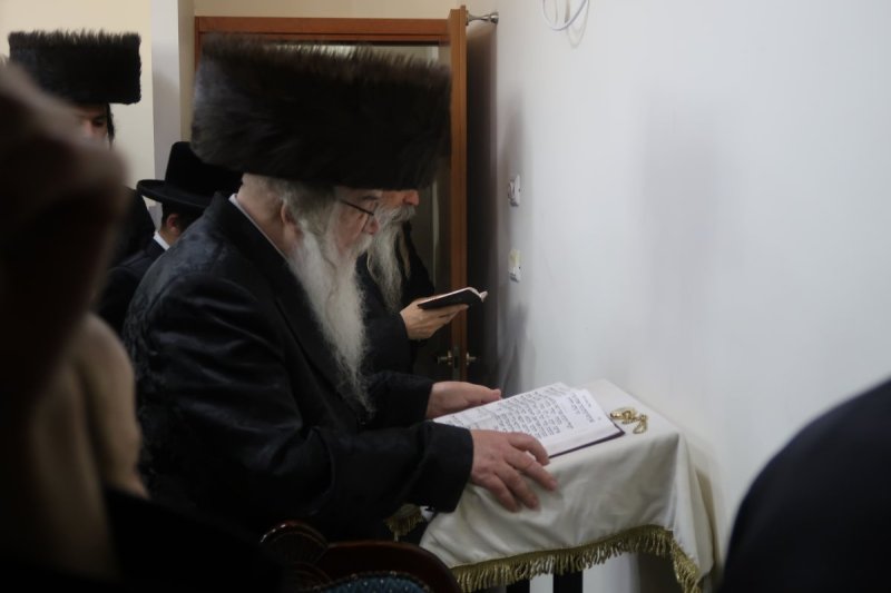 שימי פ.