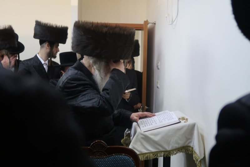 שימי פ.