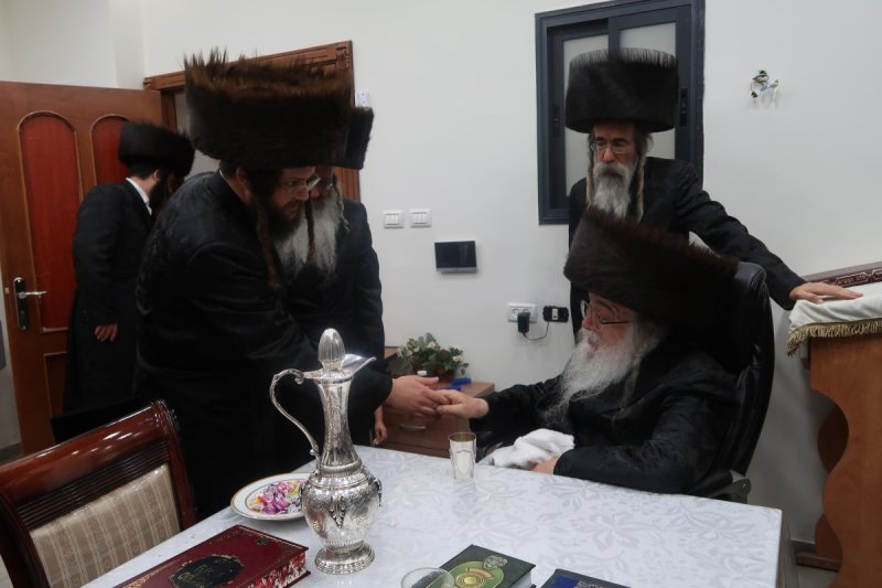 שימי פ.