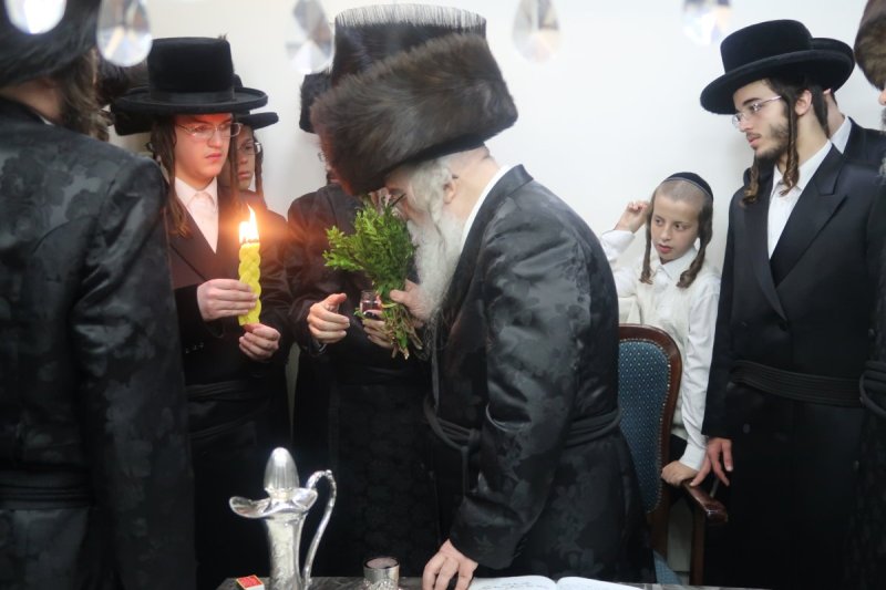 שימי פ.