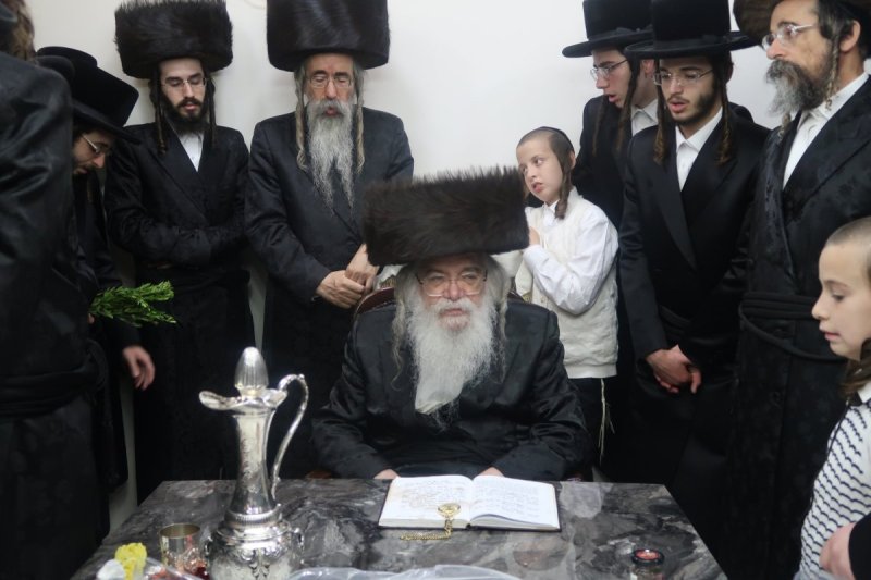 שימי פ.