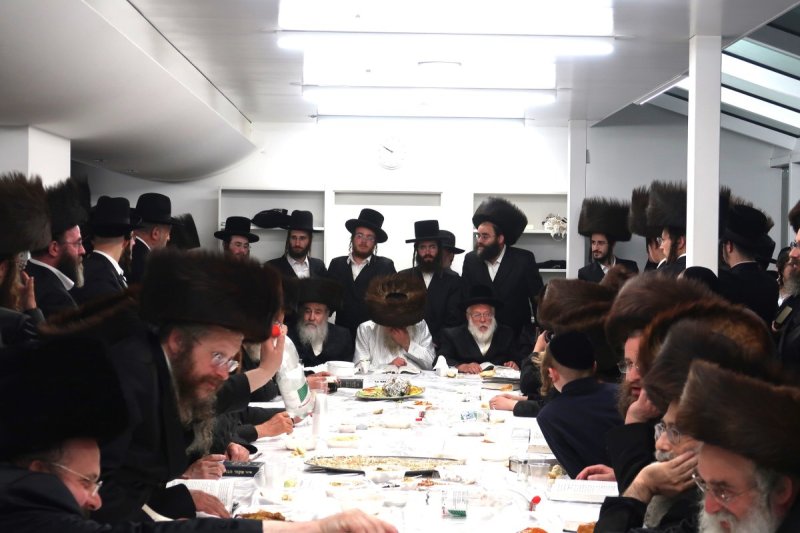 שימי פ.