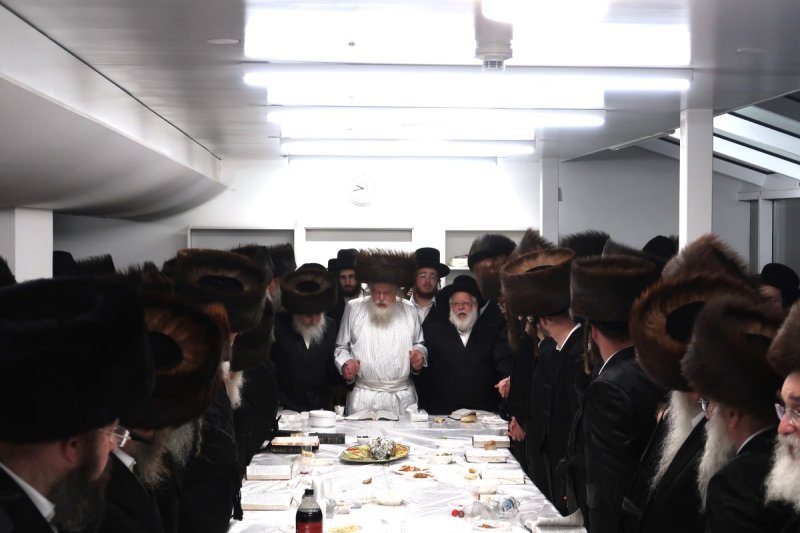 שימי פ.