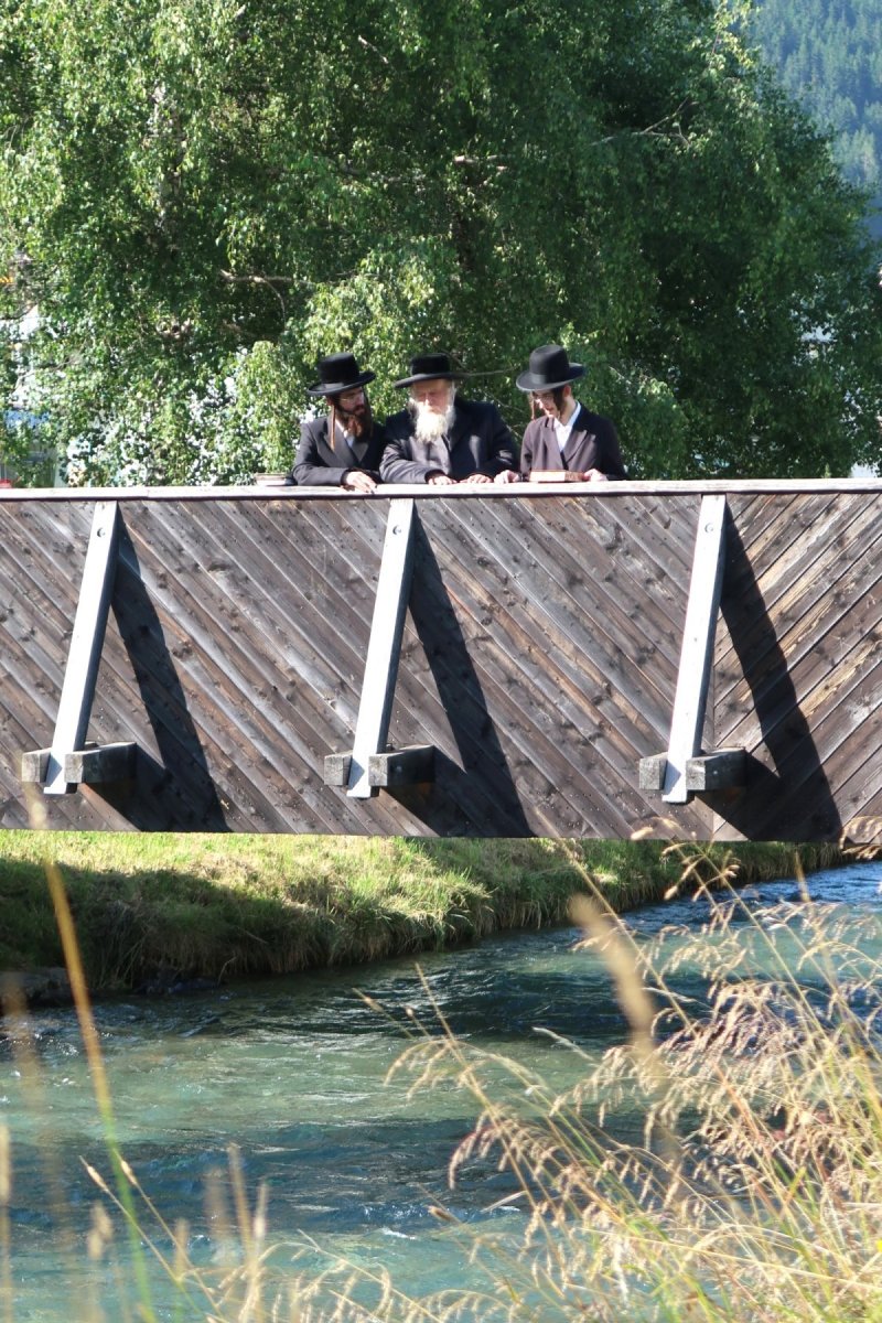 שימי פ.