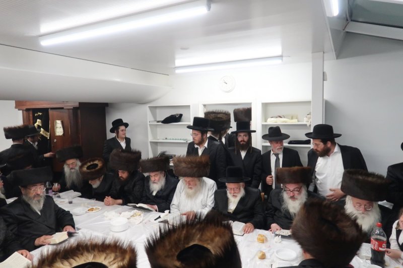 שימי פ.