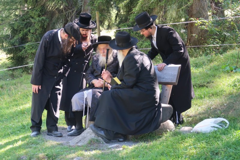 שימי פ.