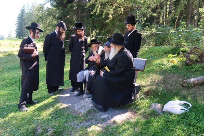 שימי פ.