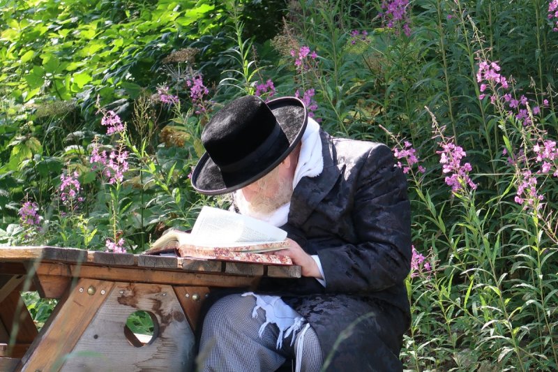 שימי פ.