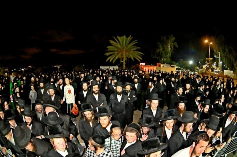 יהושע פרוכטר