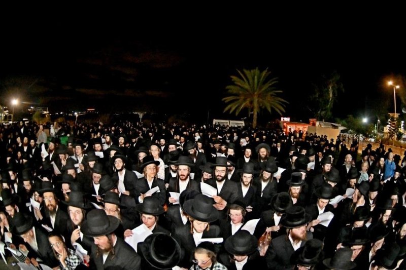 יהושע פרוכטר