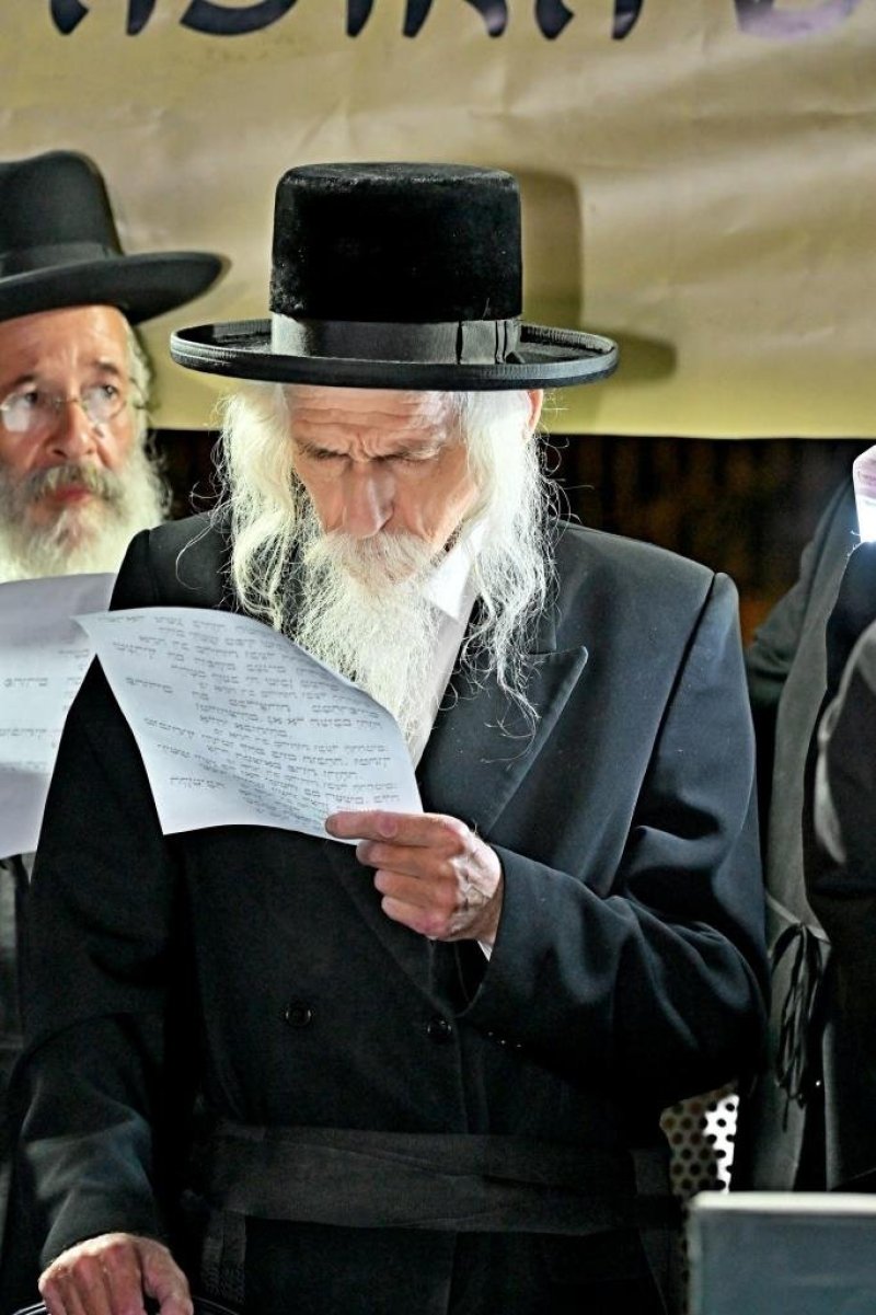יהושע פרוכטר