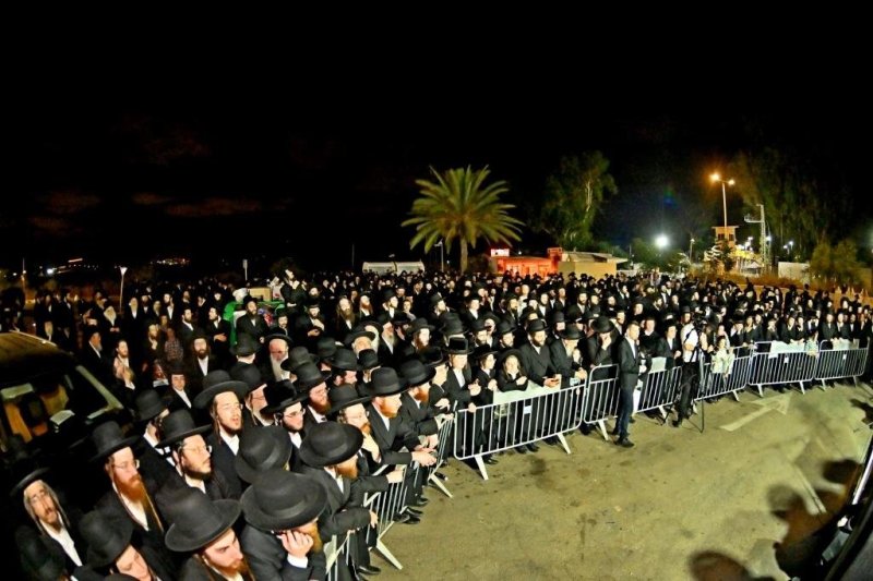 יהושע פרוכטר