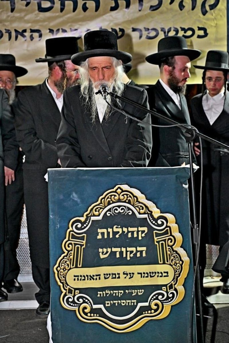 יהושע פרוכטר