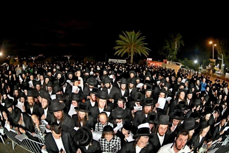 יהושע פרוכטר