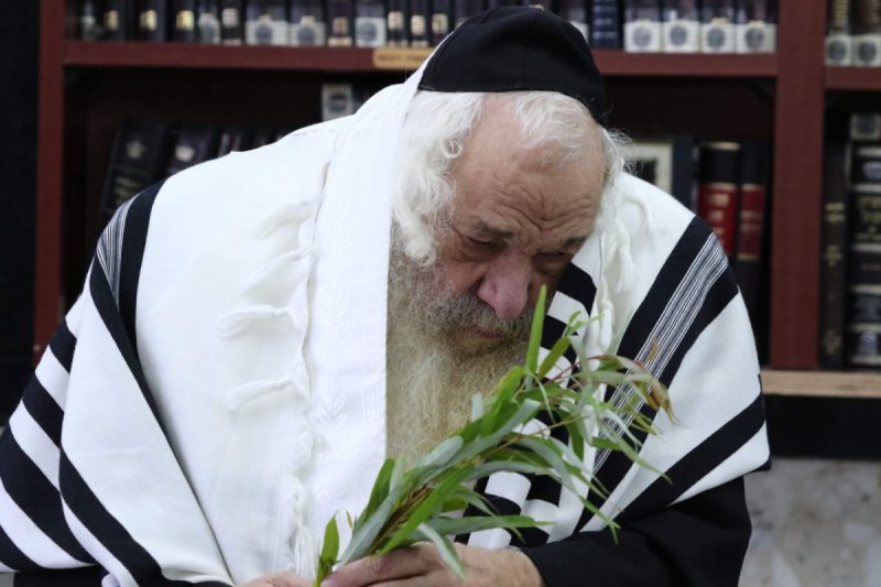ארכיון 