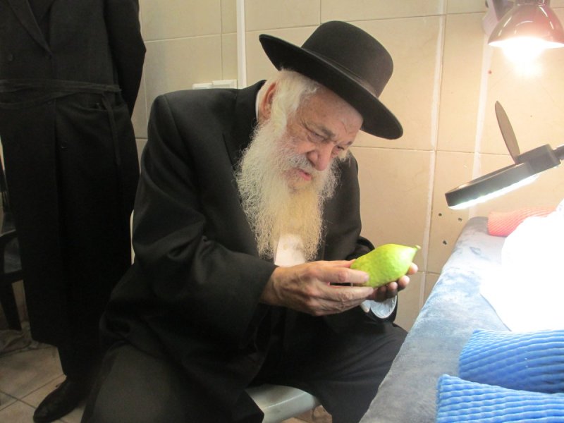ארכיון 