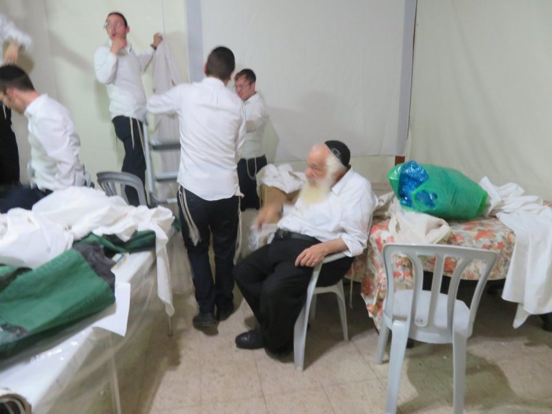 ארכיון 