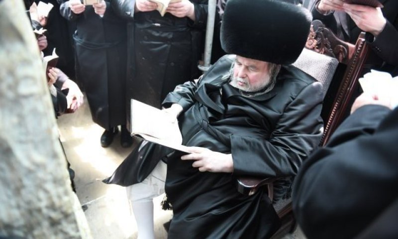תיעוד מסכם: כך ציינו בחסידות בעלזא את הילולת הרבי הקדוש