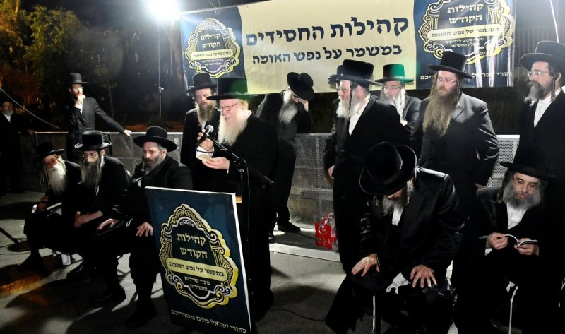 שוקי לרר