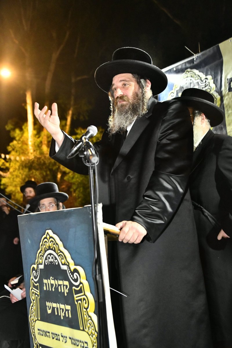 שוקי לרר