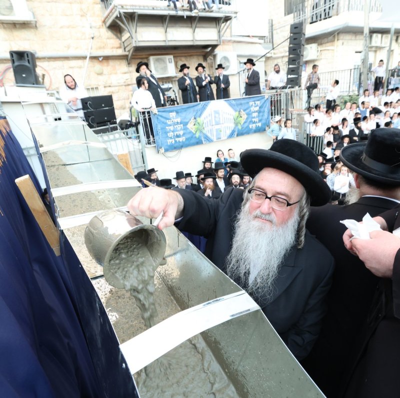 דוד ארזני
