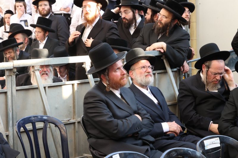 דוד ארזני