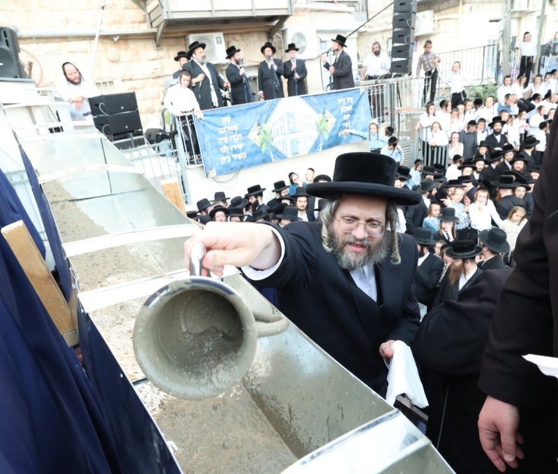 דוד ארזני