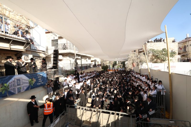 דוד ארזני