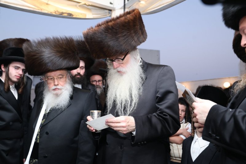 דוד ארזני