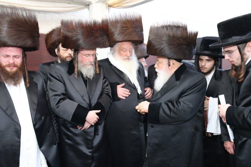 דוד ארזני