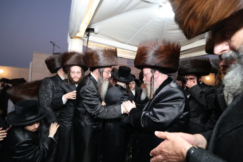 דוד ארזני
