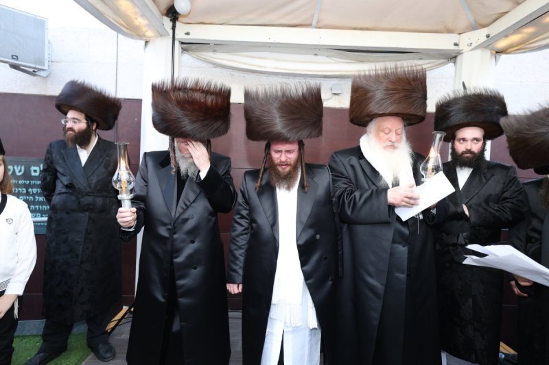 דוד ארזני