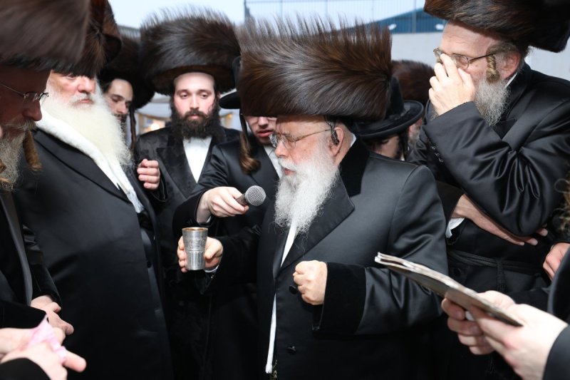 דוד ארזני
