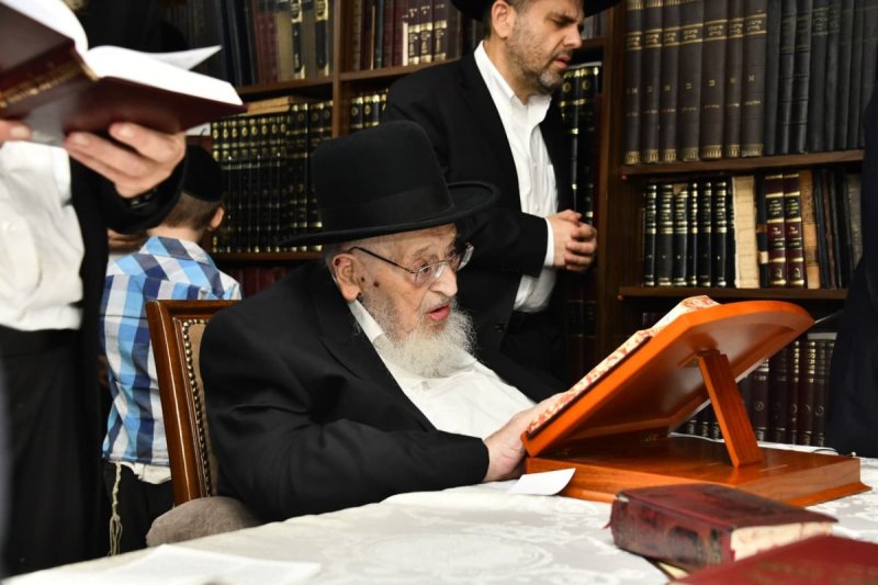 שוקי לרר