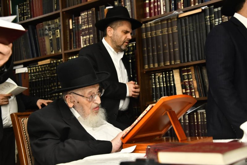 שוקי לרר