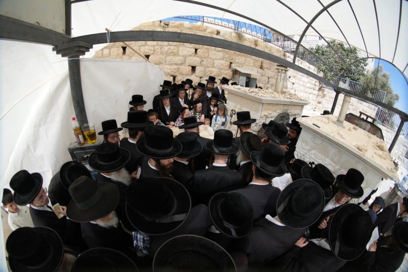 דודי סגל