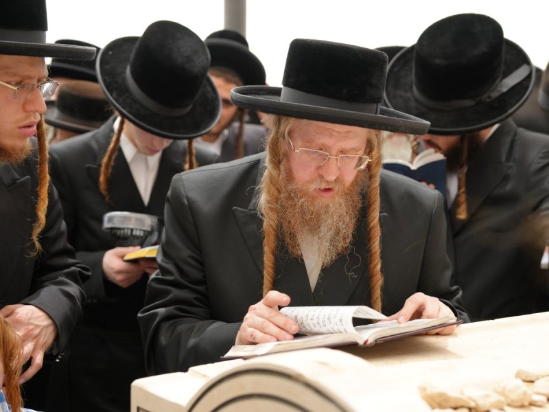 דודי סגל