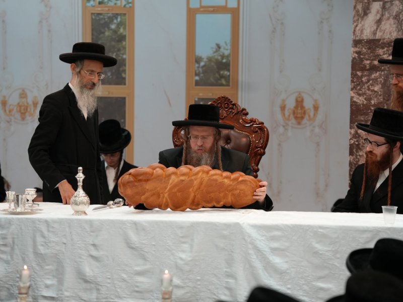 דודי סגל