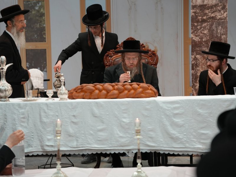 דודי סגל